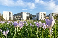 Gesundheitszentrum im Park