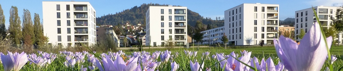 Bachblüten aus Tropfenflasche